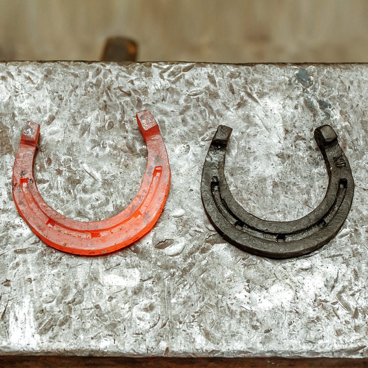 Кузнечный мастер-класс по ковке подковы