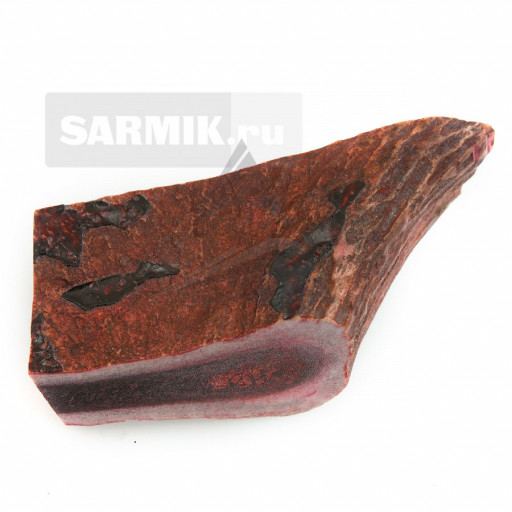 Лось рог срез лопаты стабилизированный (красный)