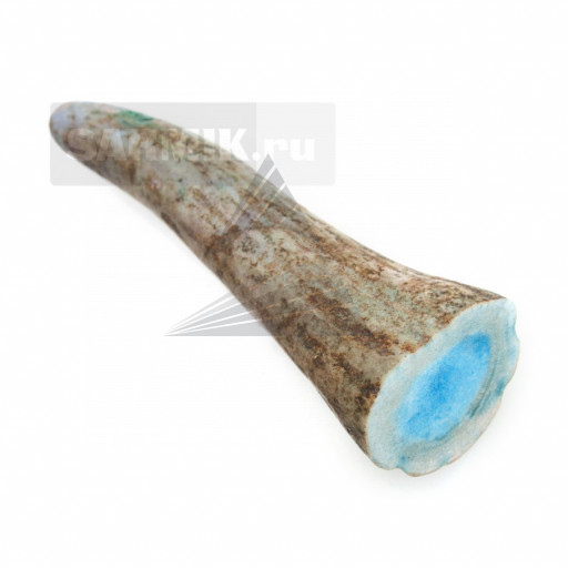 Лось, рог кончик стабилизированный (синий)
