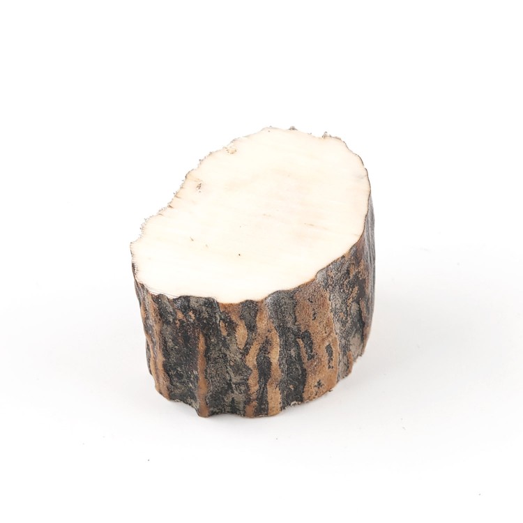 Рог лося, бочёнок 25мм