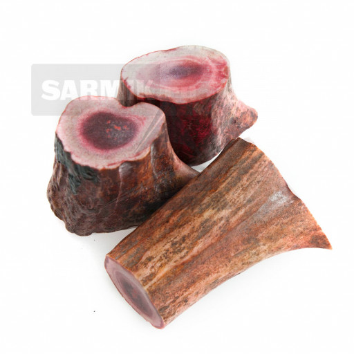 Лось рог 35Х40 стабилизированный (красный)