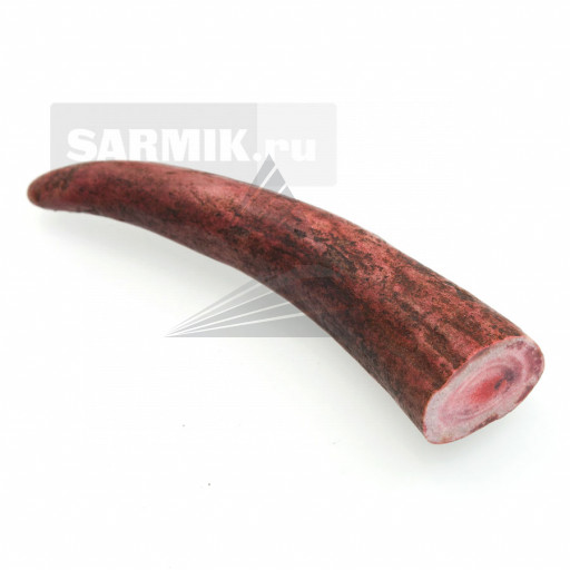 Лось, рог кончик стабилизированный (красный)